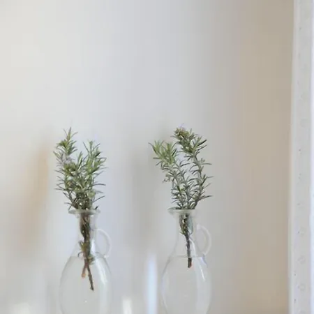 Gæstehus River Venice