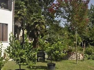 River Venice דולו