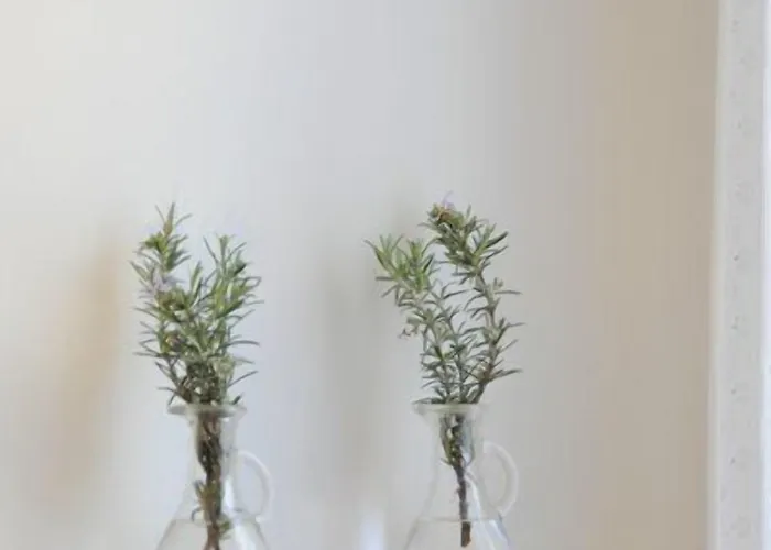 Pensión River Venice